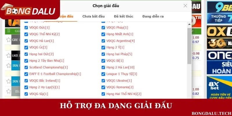 Cung cấp nhiều giải đấu nổi bật trên toàn cầu