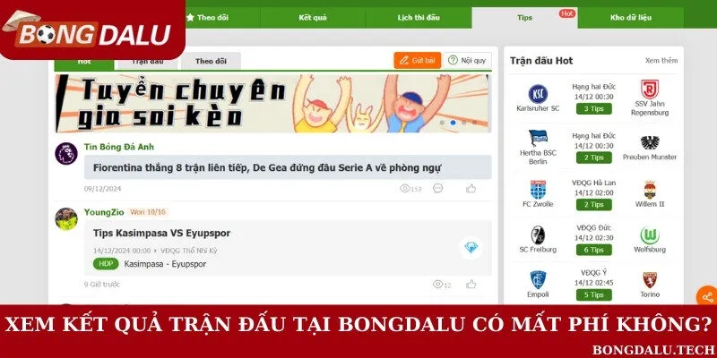 Sử dụng trang web có mất chi phí nào không?
